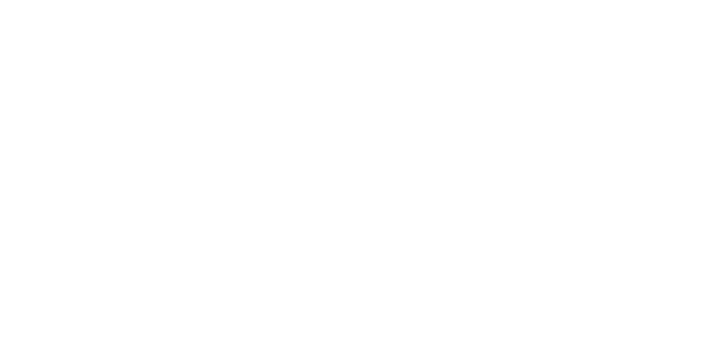 Bline-logo-20